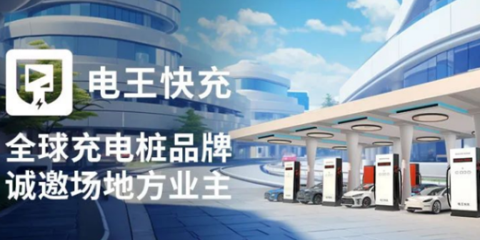 海南充电桩供应商家 欢迎咨询 深圳市电王科技供应